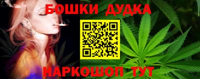 гидропоника Дубна
